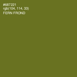 #687221 - Fern Frond Color Image